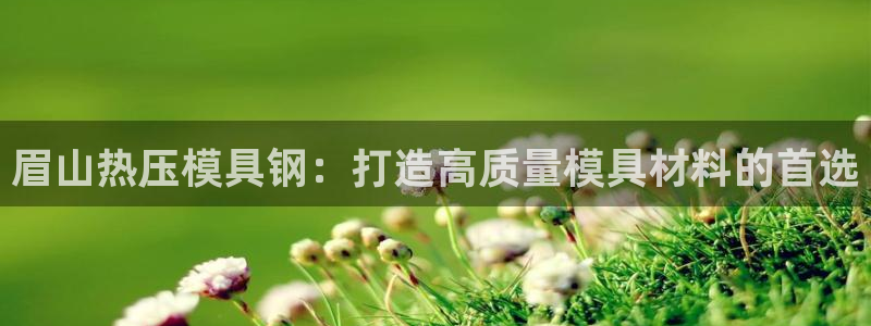 emc易倍穆里尼奥：眉山热压模具钢：打造高质量模具材料的