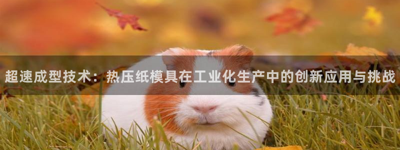 易倍达科技有限公司招聘：超速成型技术：热压纸模具在工业化