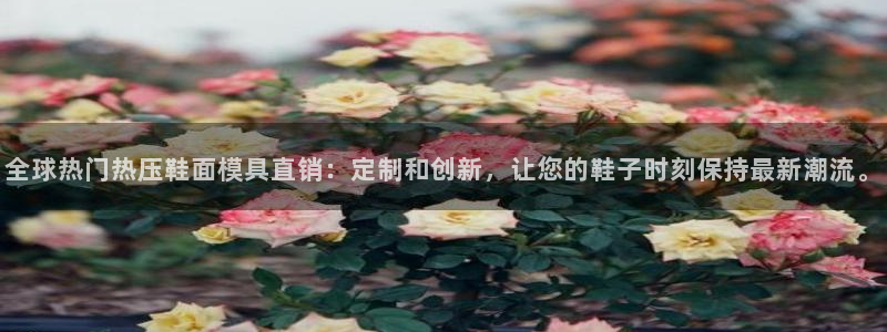 emc易倍的服务优势：全球热门热压鞋面模具直销：定制和创
