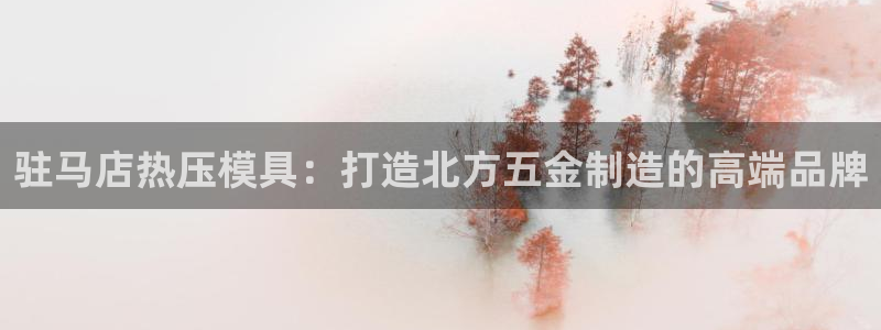 易倍申不良反应：驻马店热压模具：打造北方五金制造的高端品