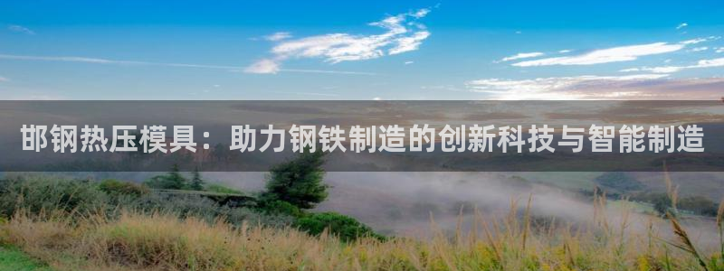 杭州易倍达上班怎么样：邯钢热压模具：助力钢铁制造的创新科