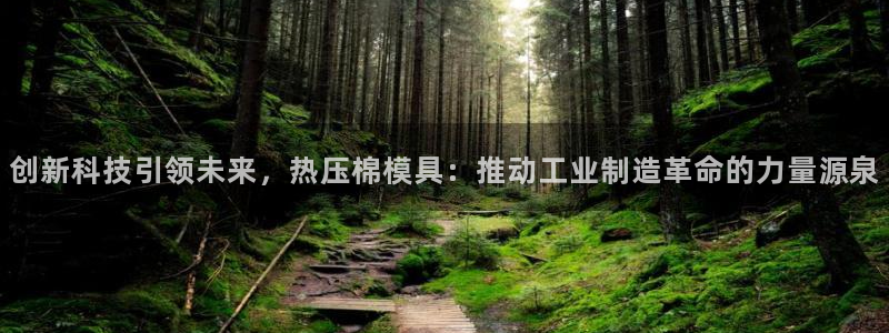 易倍科华生物科技有限公司：创新科技引领未来，热压棉模具：
