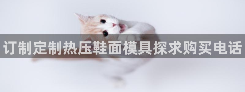 emc下载ios：订制定制热压鞋面模具探求购买电话