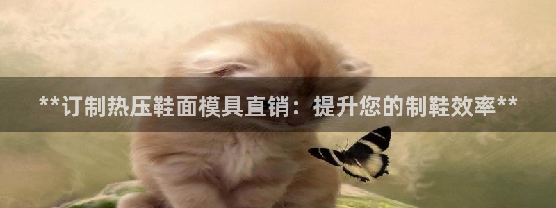 易倍达科技有限公司:**订制热压鞋面模具直销:提升您的制